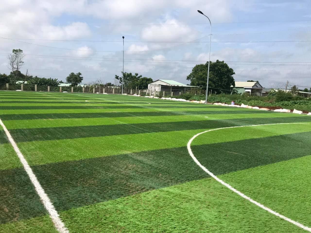Thi công cỏ nhân tạo sân bóng đá tại Bạc Liêu