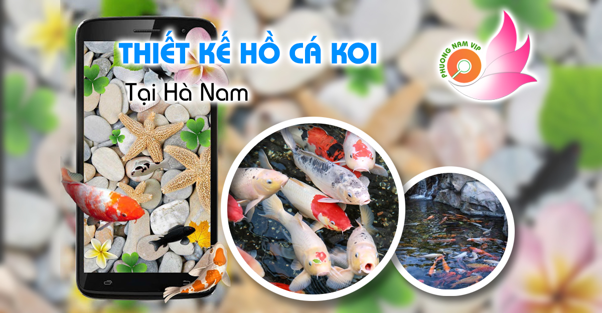 Thiết kế, thi công hồ cá Koi tại Hà Nam