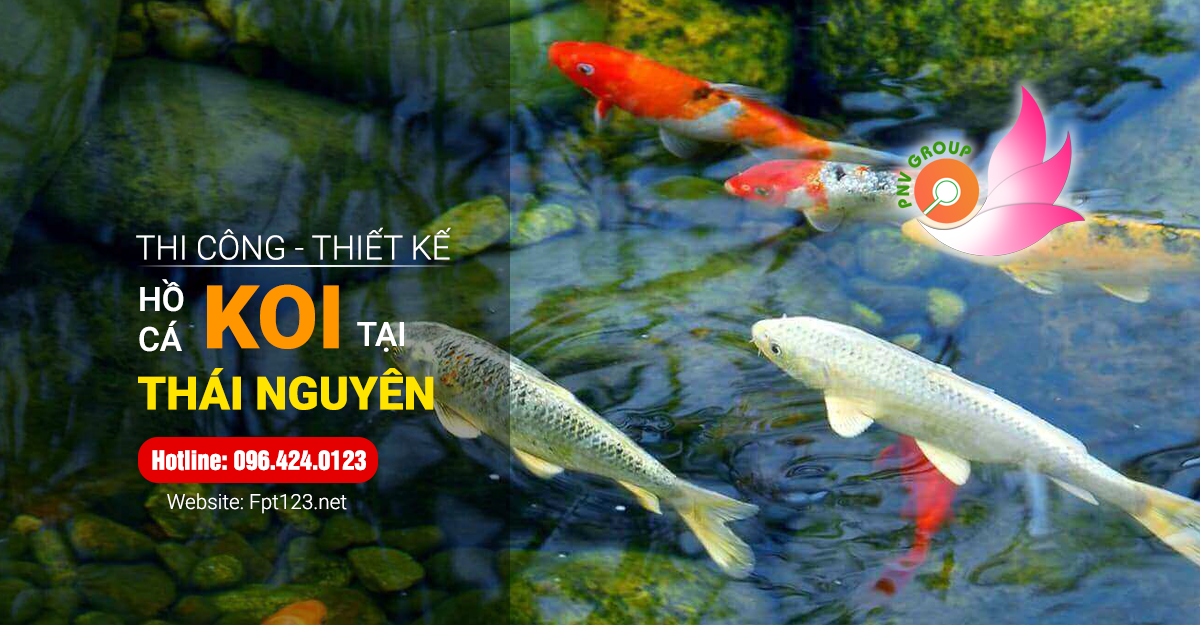 Thiết kế, thi công hồ cá Koi tại Thái Nguyên