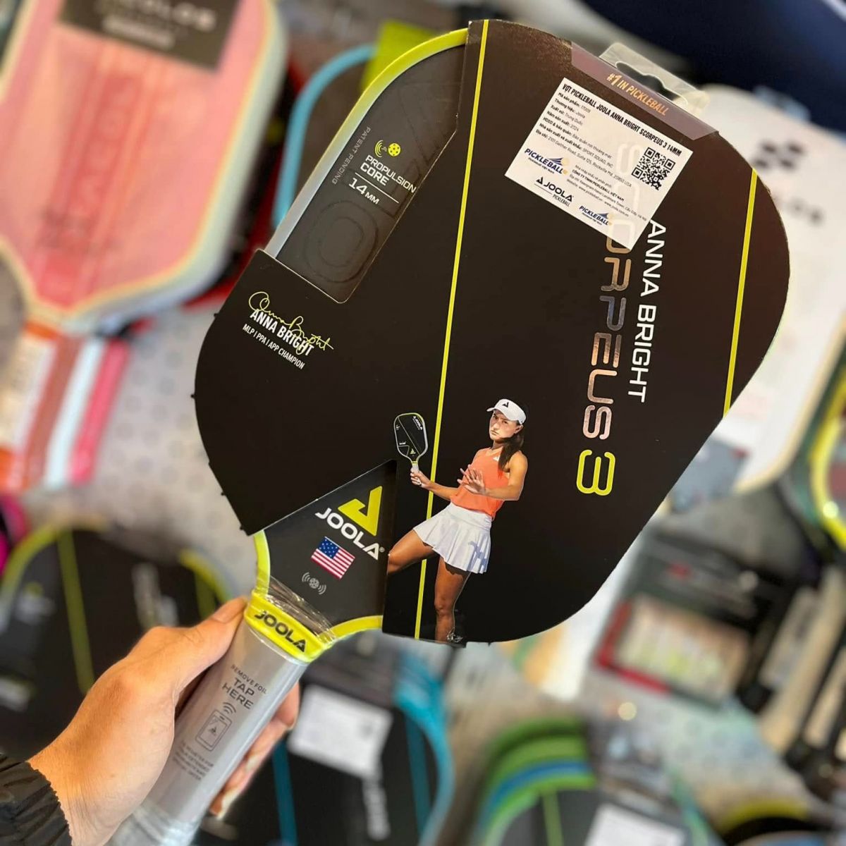 Vợt Pickleball và những kiến thức trong nghề