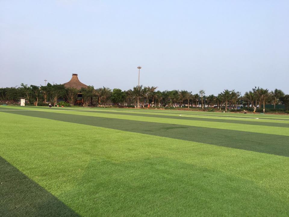 Thi công sân bóng nền cỏ nhân tạo tại Lâm Đồng