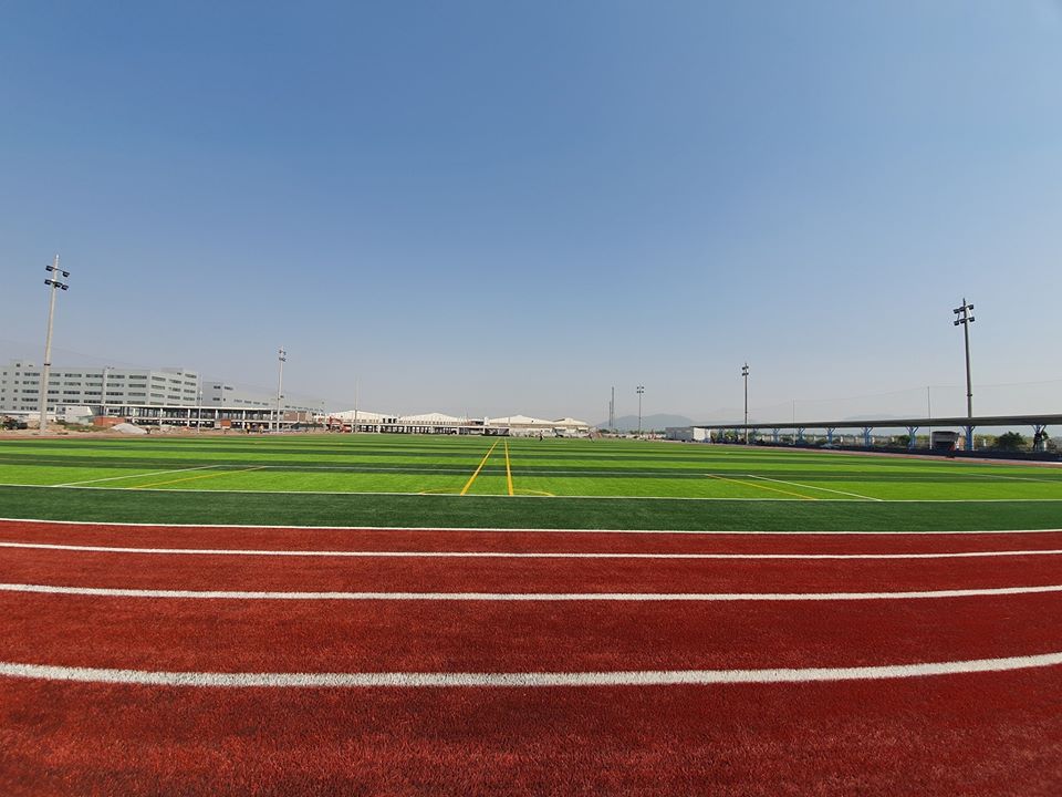 Sân cỏ nhân tạo khu liên hợp thể thao công ty TNHH Crystal Martin Việt Nam