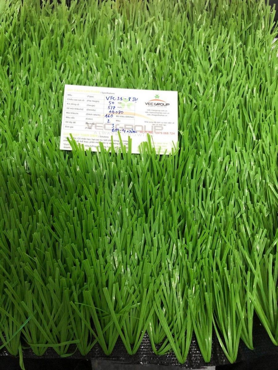 Mẫu cỏ nhân tạo sân bóng VFC 31