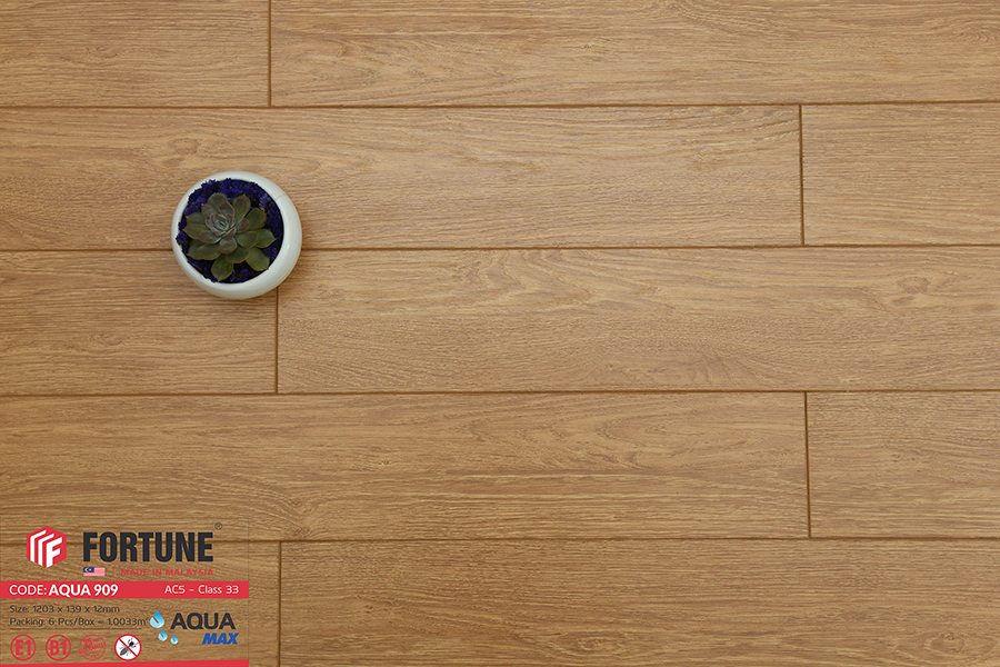 Sàn gỗ Fortune Aqua 909 12mm